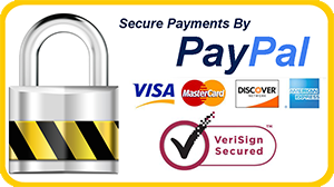 Panoply Statements Writing secured Pay Pal Payment